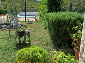 Ein Garten mit einer Statue, die ein Pferd darstellt, das einen Blumentopf trägt, einem Schwimmbad und einer gepflegten Hecke.