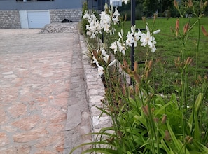 Ein Steinweg führt zu einem Gebäude mit einer Garagentür, umgeben von weißen Blüten und grünem Gras.