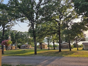 A residential area with multiple houses, a gravel driveway, and trees. - LAKE NORFORK cottages at a FANTASTIC FISHING resort,1-2bedrooms,electric trolley (Gamaliel)