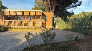 Une cabane en bois avec une allée en gravier, entourée de végétation et d’arbres.