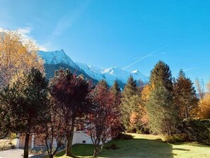 Property grounds - Our family chalet in the heart of the Alps (Chamonix-Mont-Blanc)