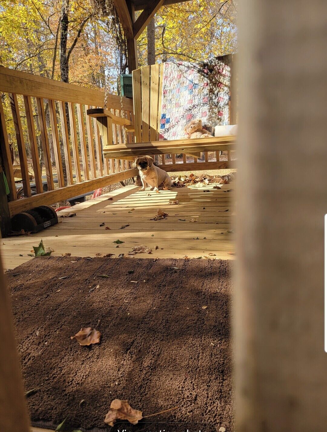 A dog sitting on a wooden deck with a quilted bench and a teddy bear in the background.