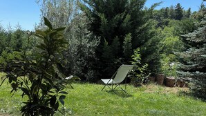 Een potplant, een gazon en een stoel in een tuin.