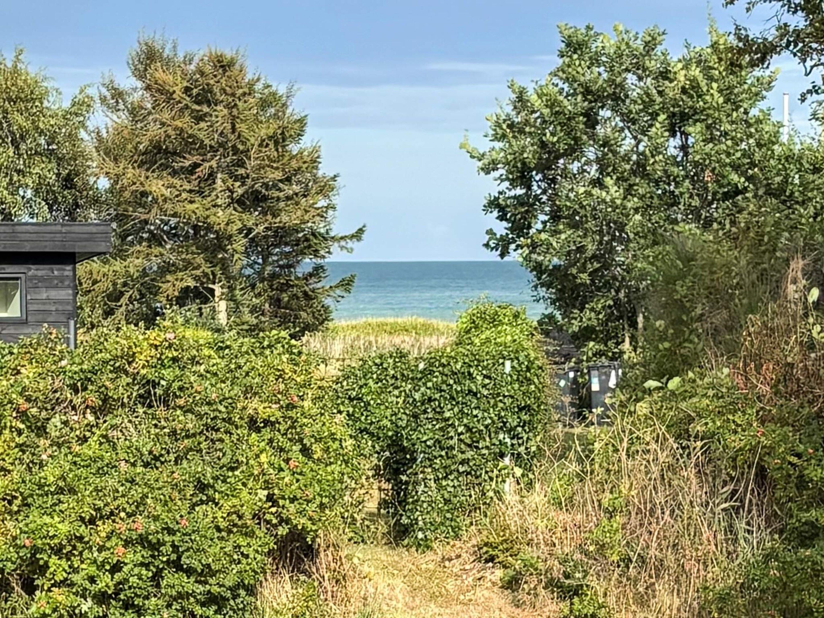 A pathway leading to a beach with dense greenery and a clear view of the ocean.