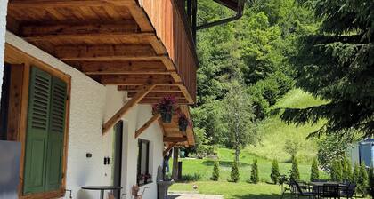 Newly renovated vacation apartment with views of the Alps