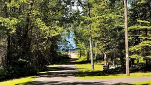 A paved pathway surrounded by trees, a bench, and a utility pole.