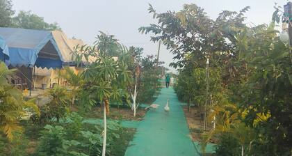 Bhitarkanika Eco Resorts