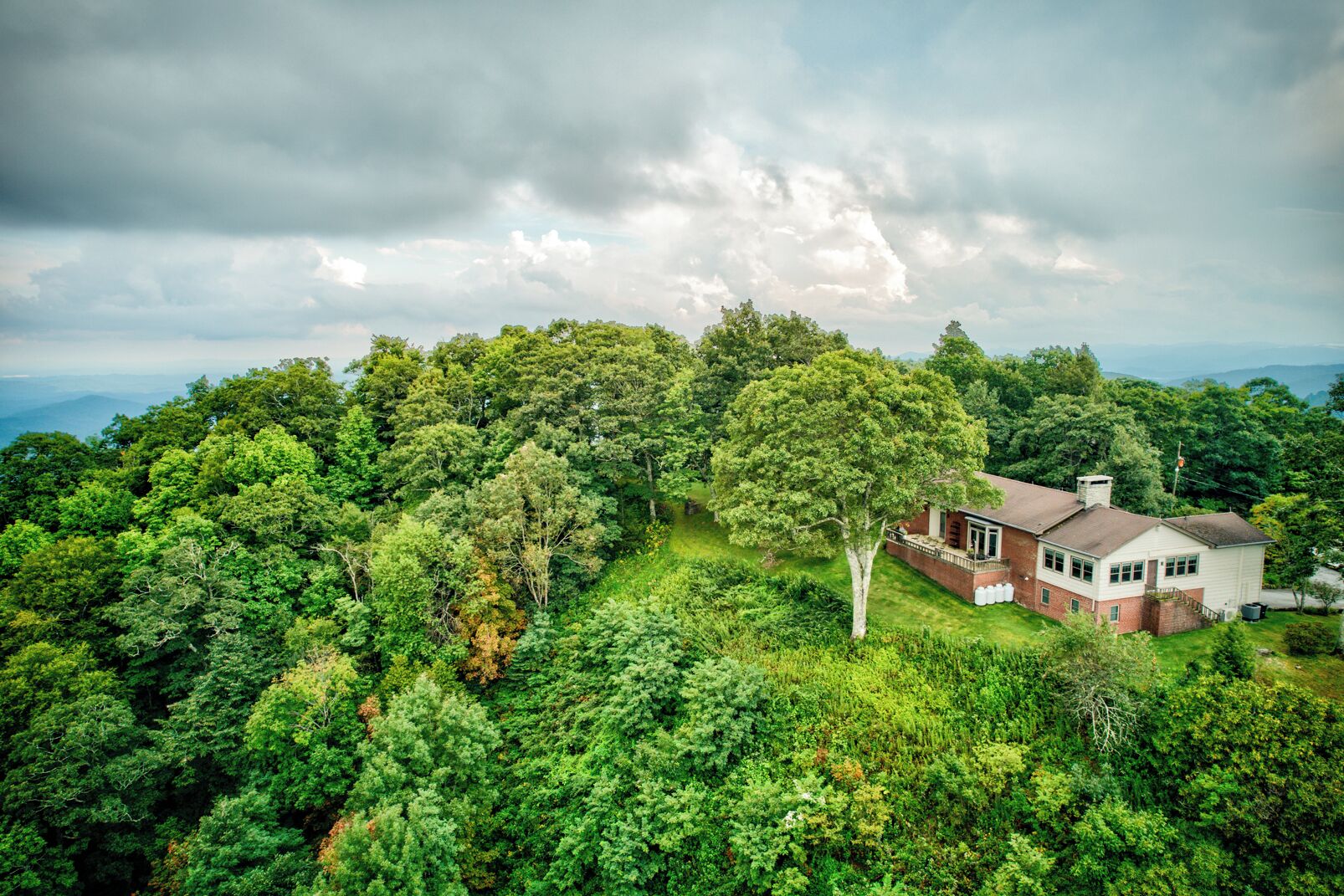 Een huis omringd door dicht bos, met een helder uitzicht op de lucht.