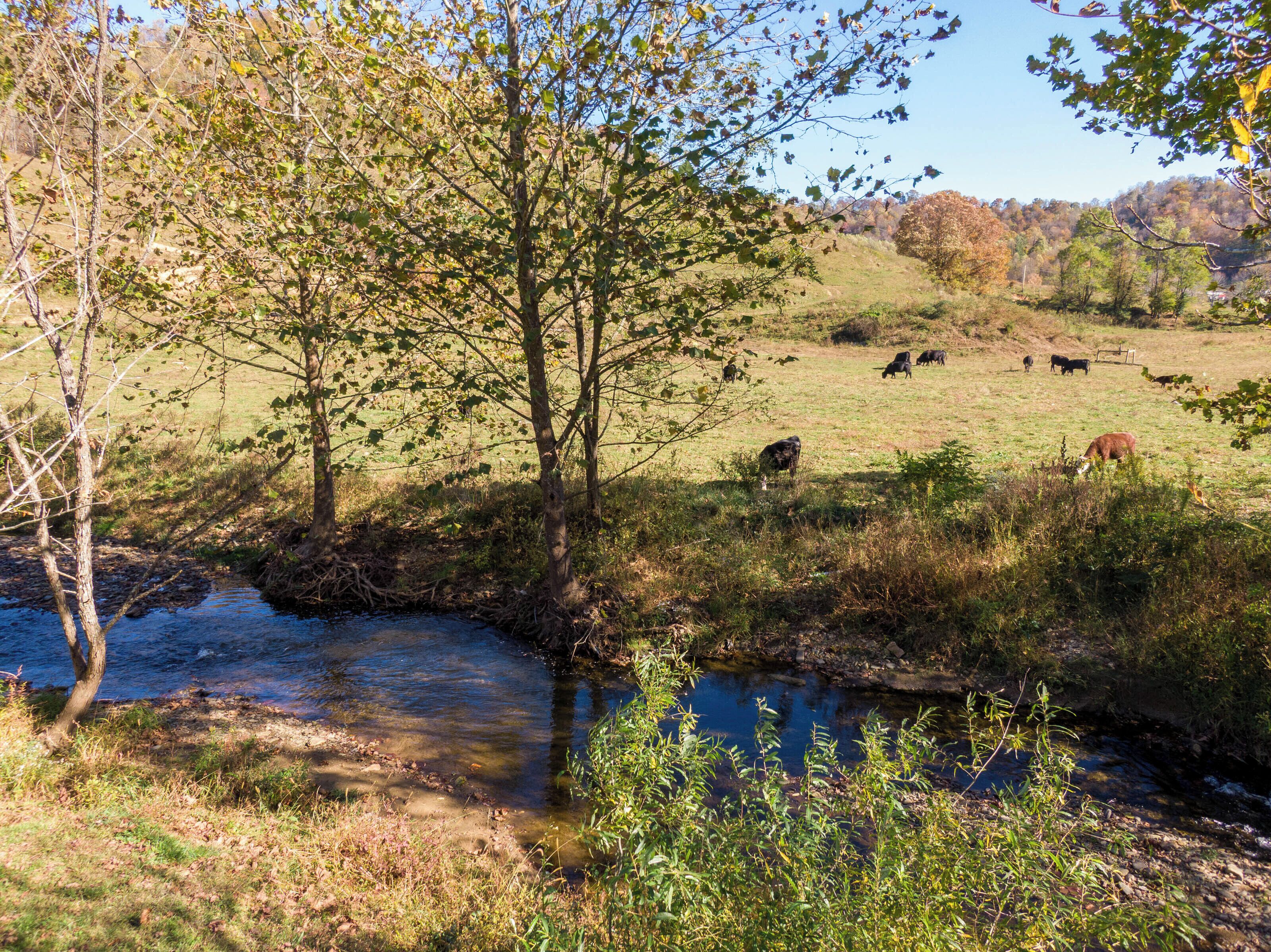 Un paysage rural avec un ruisseau, des arbres et du bétail en pâturage.