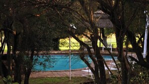 A swimming pool surrounded by trees and a thatched-roof structure. - Rising Rocks Farm (Magaliesburg)