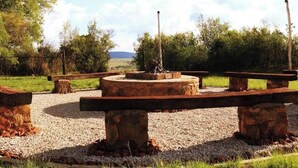 Unclassified image, 3 of 145, button - Rising Rocks Farm (Magaliesburg)