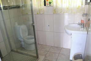 Une salle de bain avec une douche à parois de verre, des toilettes, un lavabo et une plante en pot posée sur le rebord de la fenêtre.