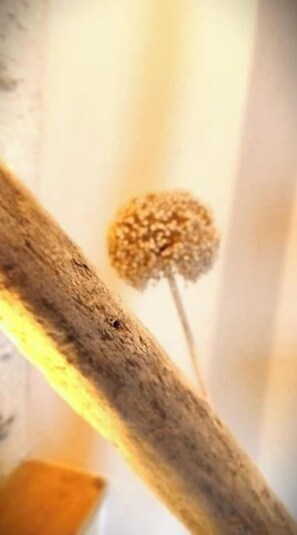 Unclassified image, 2 of 12, button