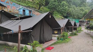 A row of black tents with a gravel path leading to them, surrounded by greenery and a mural on a building in the background. - Weekend Getaway Camps (Tapovan)
