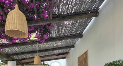 Ancient Aeolian house with large garden overlooking the sea and volcano