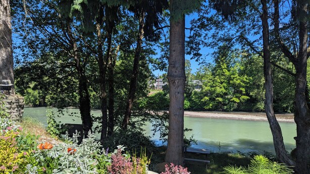 Un jardin paisible avec un étang, entouré d’arbres et de différentes plantes.