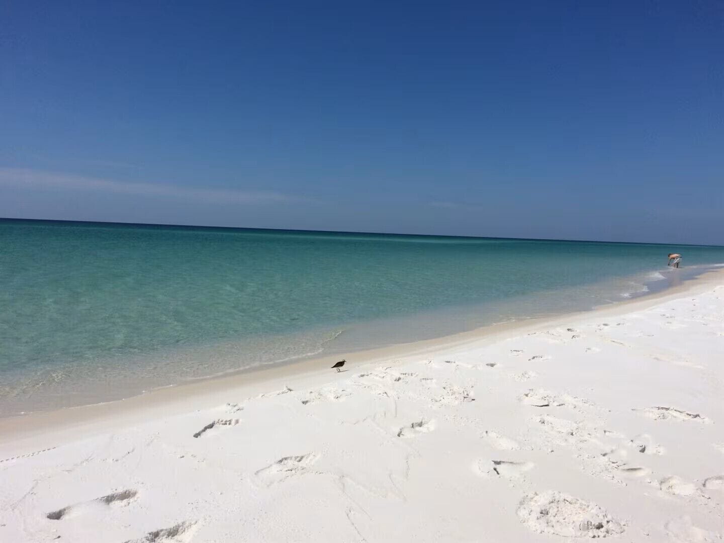 Playa