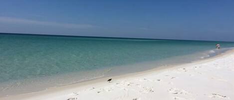 Playa