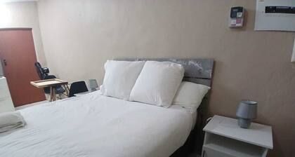 Spacious & Professional Deluxe Apartment for working and leisure: Home from home