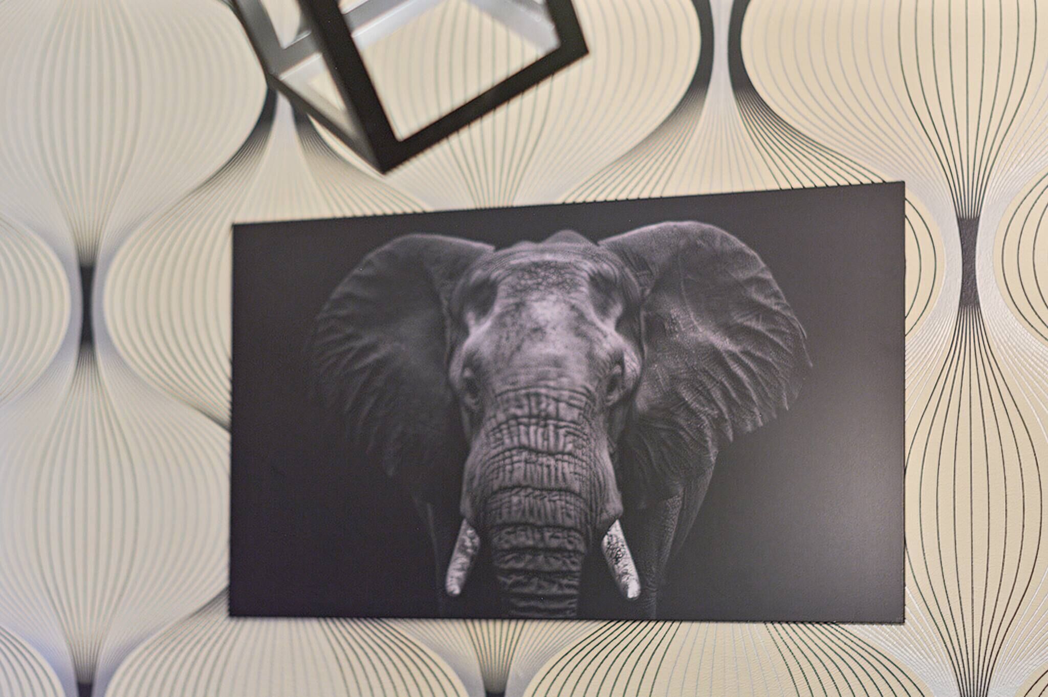 A framed picture of an elephant on a textured wall.