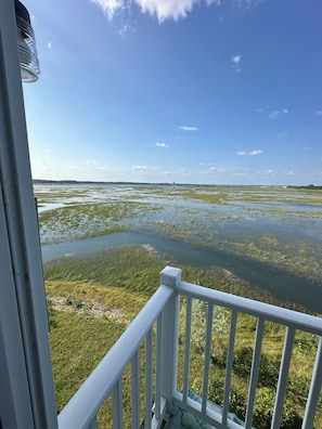 Vista desde un balcón sobre un paisaje pantanoso con agua y vegetación escasa.