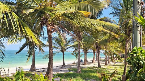 A beach with palm trees, a clear sky, and a calm sea. - Edinah Homes in Shanzu,Mombasa,Kenya,the beach 5 minute (Mombasa)