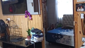 Ett litet rum med en säng, en tv som är monterad på väggen, ett litet skrivbord med en växt och en stol.