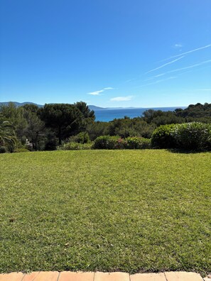 Eine grüne Rasenfläche mit Bäumen und Blick auf das Meer.