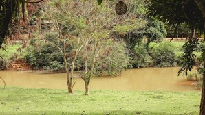A natural landscape with a pond, trees, and a grassy area. - Cozy Chalet with Jacuzzi in Domingos Martins (Domingos Martins)