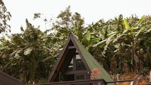 A triangular wooden structure with a balcony, surrounded by lush greenery and banana plants. - Cozy Chalet with Jacuzzi in Domingos Martins (Domingos Martins)