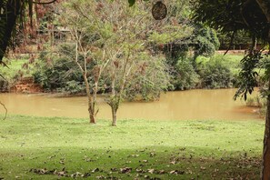 Un paisaje natural con un estanque, árboles y una zona cubierta de césped.
