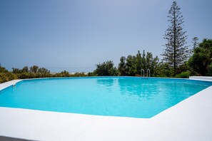 A rectangular swimming pool with clear blue water, surrounded by white poolside and a backdrop of trees and a tall pine tree.