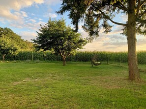 A grassy field with a tree and a hanging chair. - Idyllic vacation home in a quiet location (Höhenland)