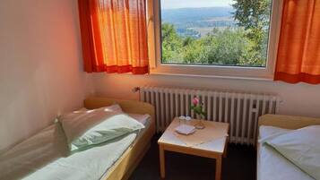 Twin Room | Free WiFi, wheelchair access