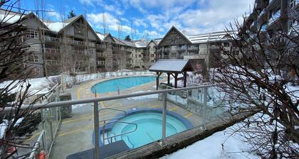 Cozy 1 Bedroom Apartment at the Famous Aspens Lodge on Whistler Mountain with AC