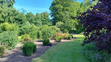 Un jardin avec différentes sortes de plantes et un ciel dégagé.