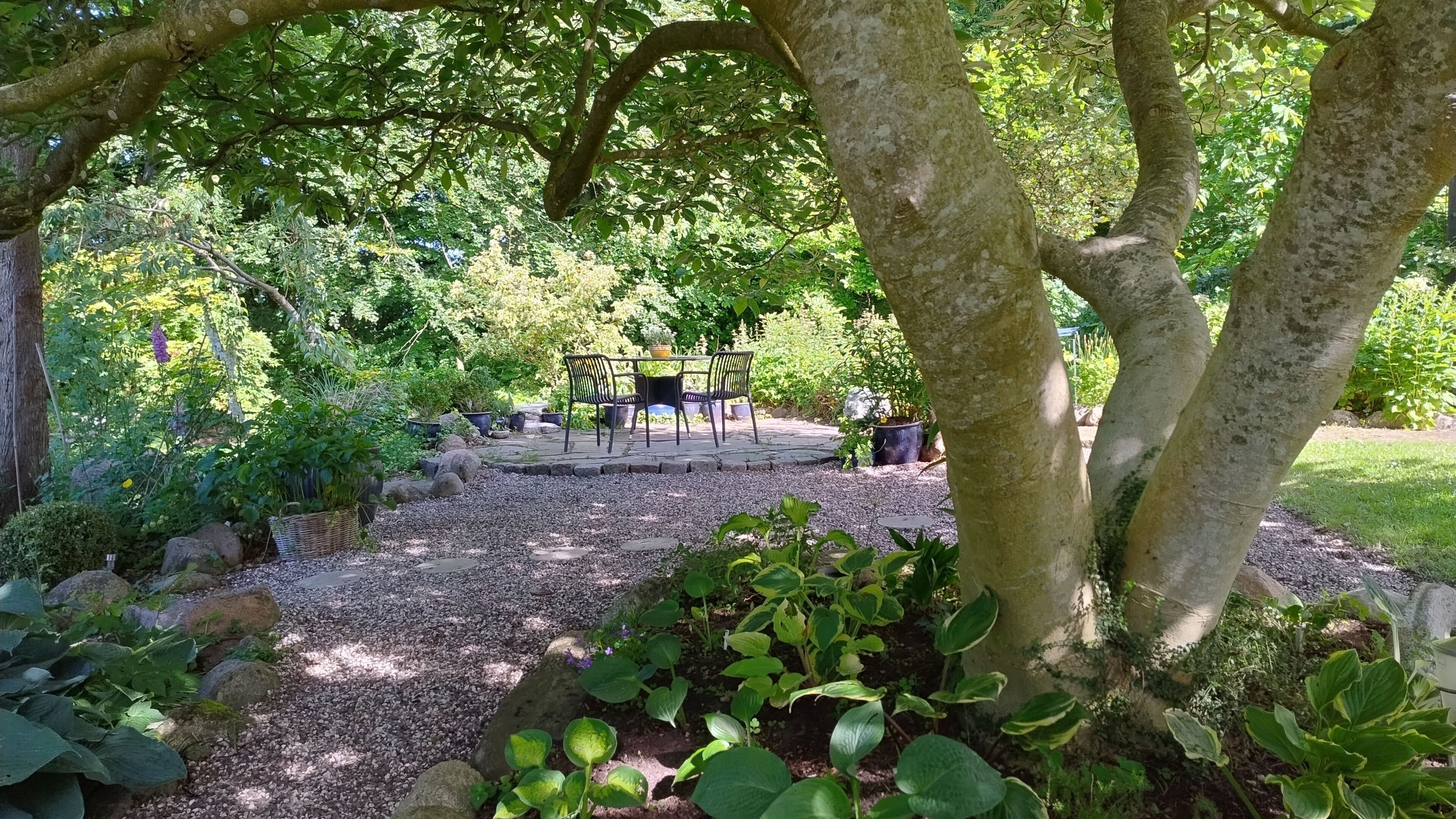 Un jardin avec une table et des chaises, entouré d’arbres et de plantes.