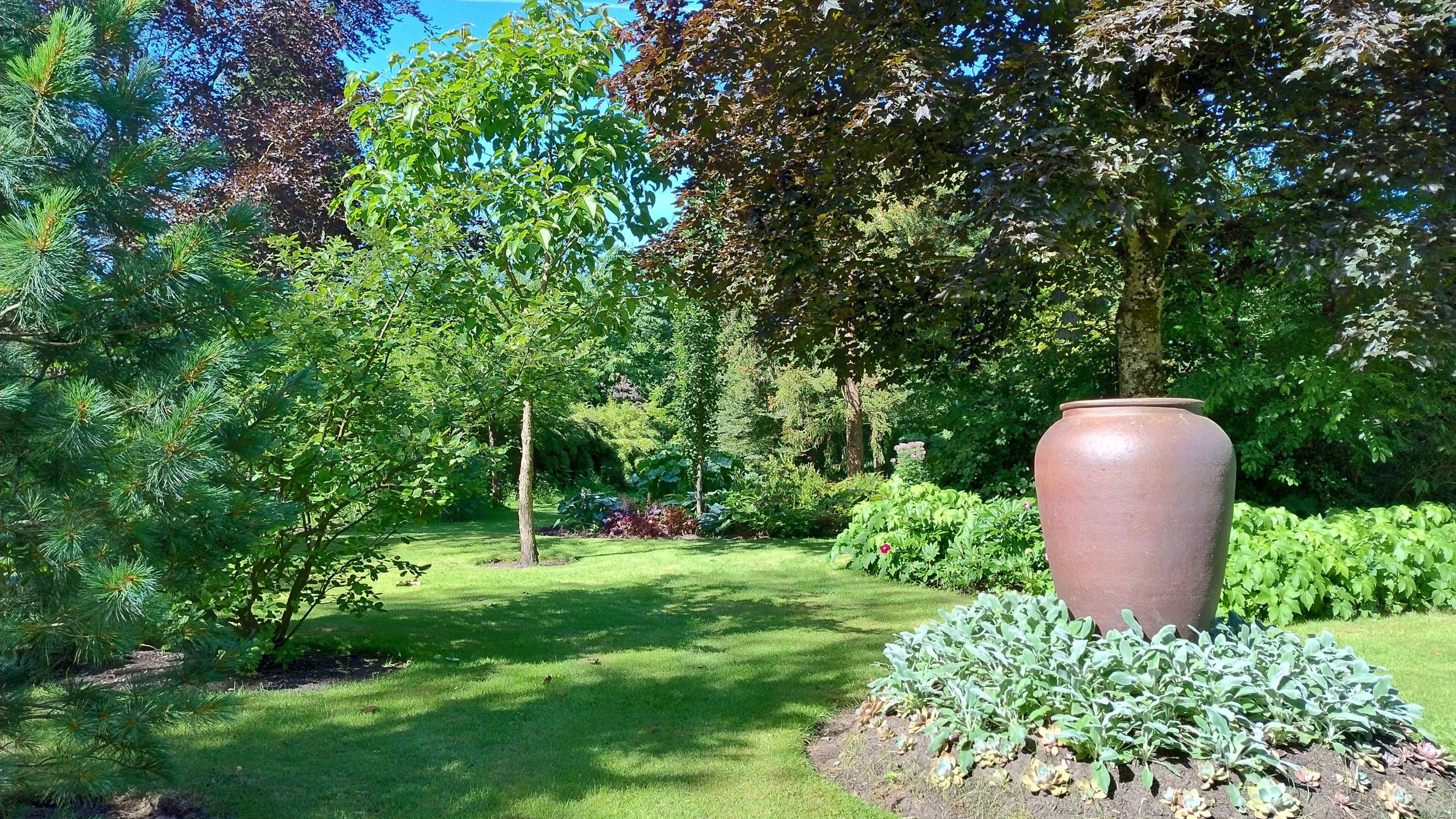 Un jardin agrémenté d’un grand vase, d’une pelouse verdoyante et de divers arbres.