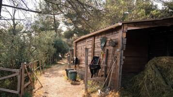 Parco della struttura