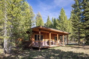 Eine Holzhütte mit Veranda, umgeben von hohen Kiefern.