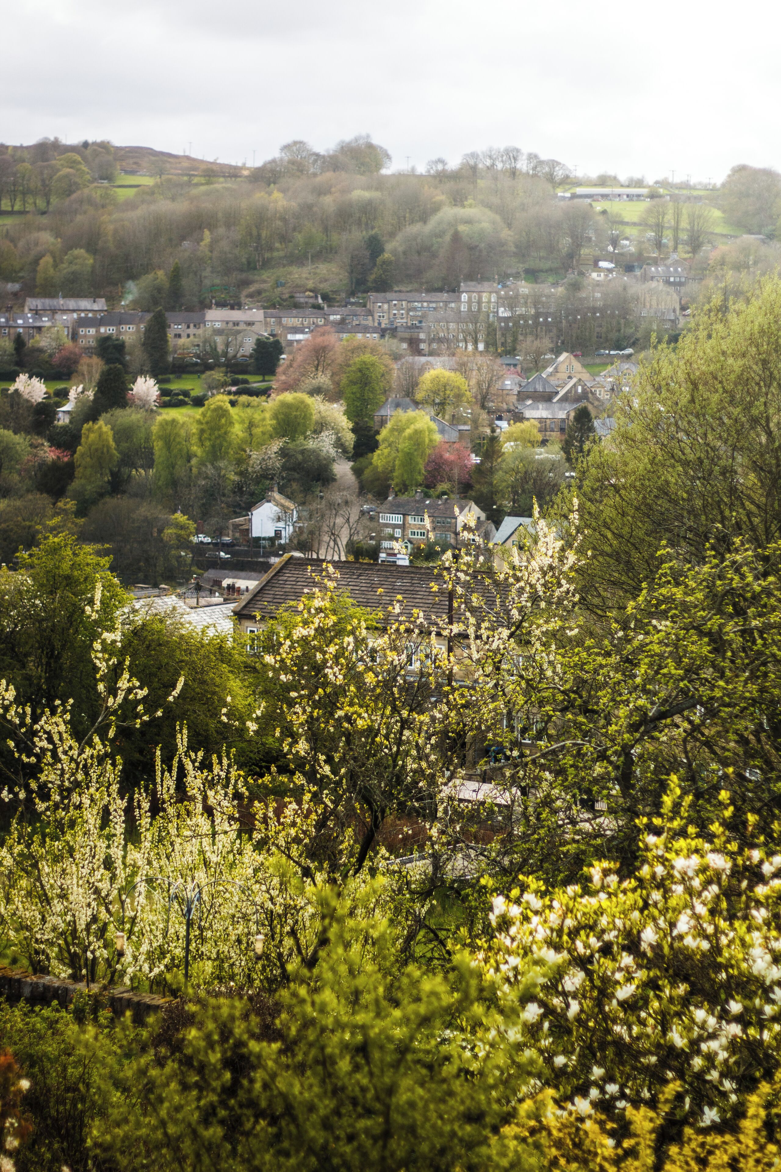 A town with residential buildings, some greenery, and a hill in the background.