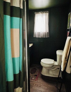 A bathroom with a toilet, a window with curtains, and a shower curtain.