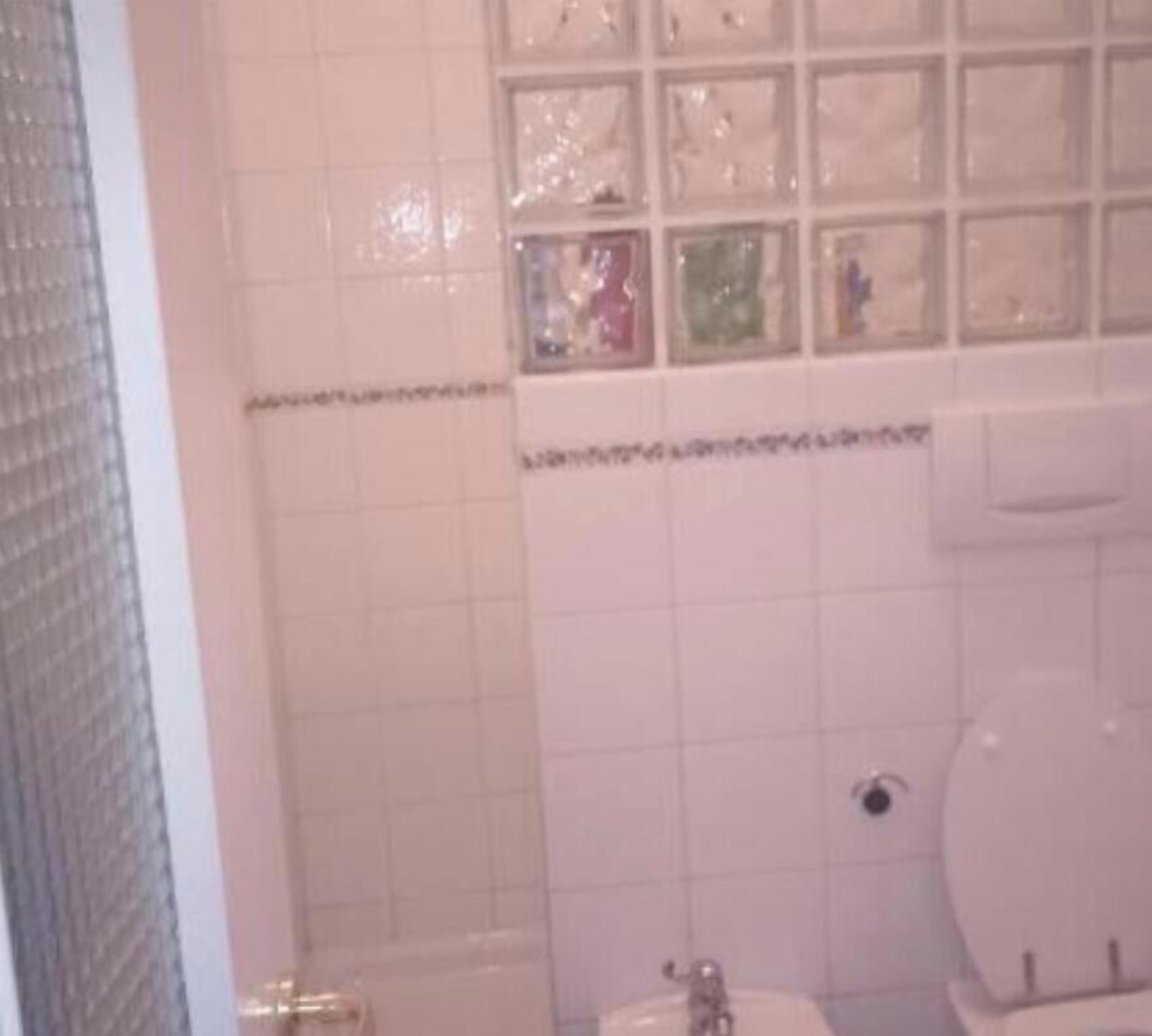 Dusche, Haartrockner, Bidet, Handtücher