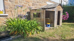 Uma estrutura de madeira com uma porta, um objeto pequeno azul e amarelo no interior e flores roxas do lado de fora.