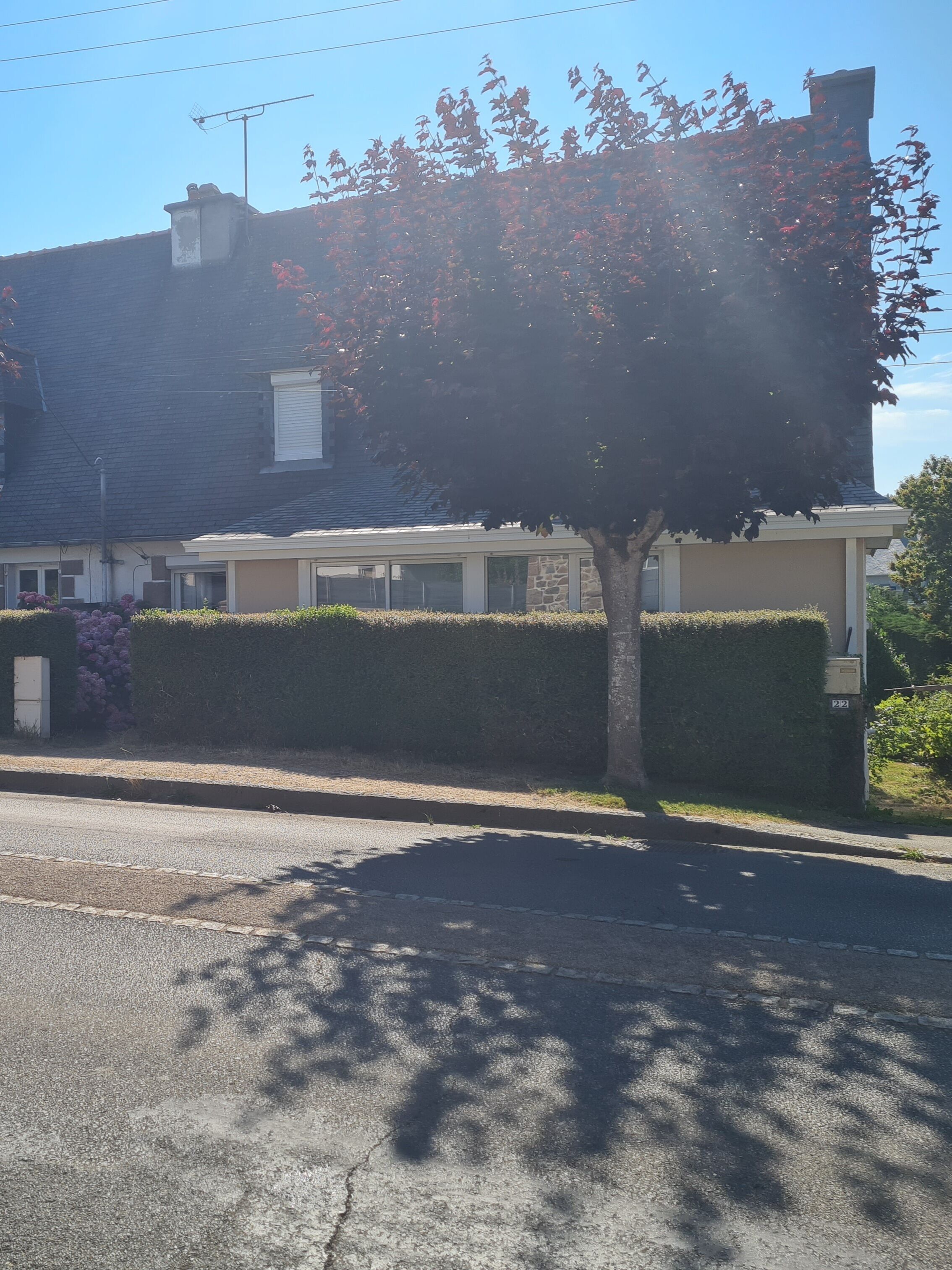 A residential street with a tree casting shadows on the road, a house with a visible chimney, and a hedge in the foreground.