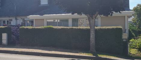 A residential street with a tree casting shadows on the road, a house with a visible chimney, and a hedge in the foreground.