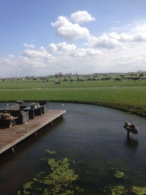 A riverside view with a dock and outdoor seating, a grassy field with cows, and a clear sky.