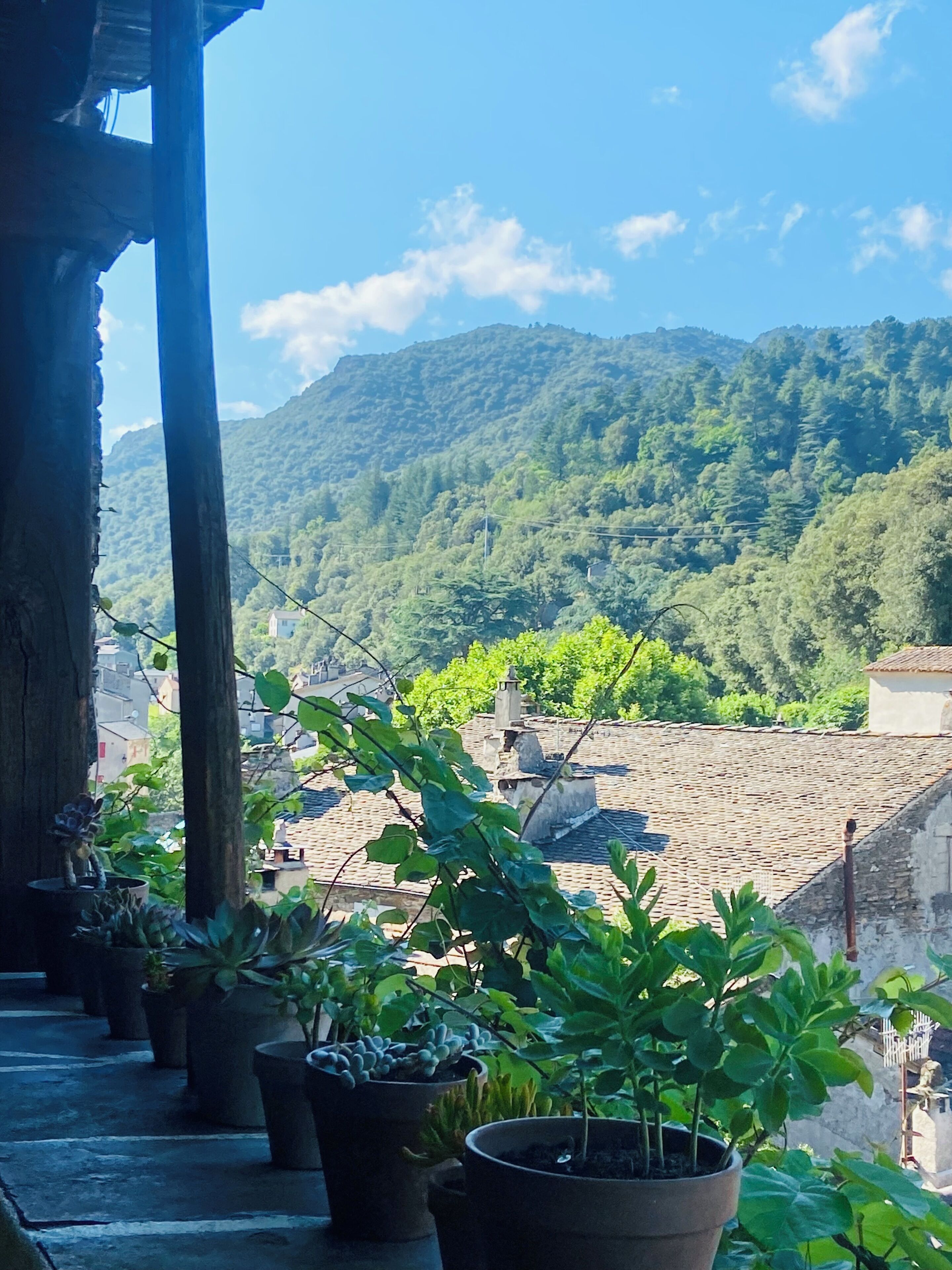 A balcony with potted plants, a view of a mountainous landscape, and traditional architecture.