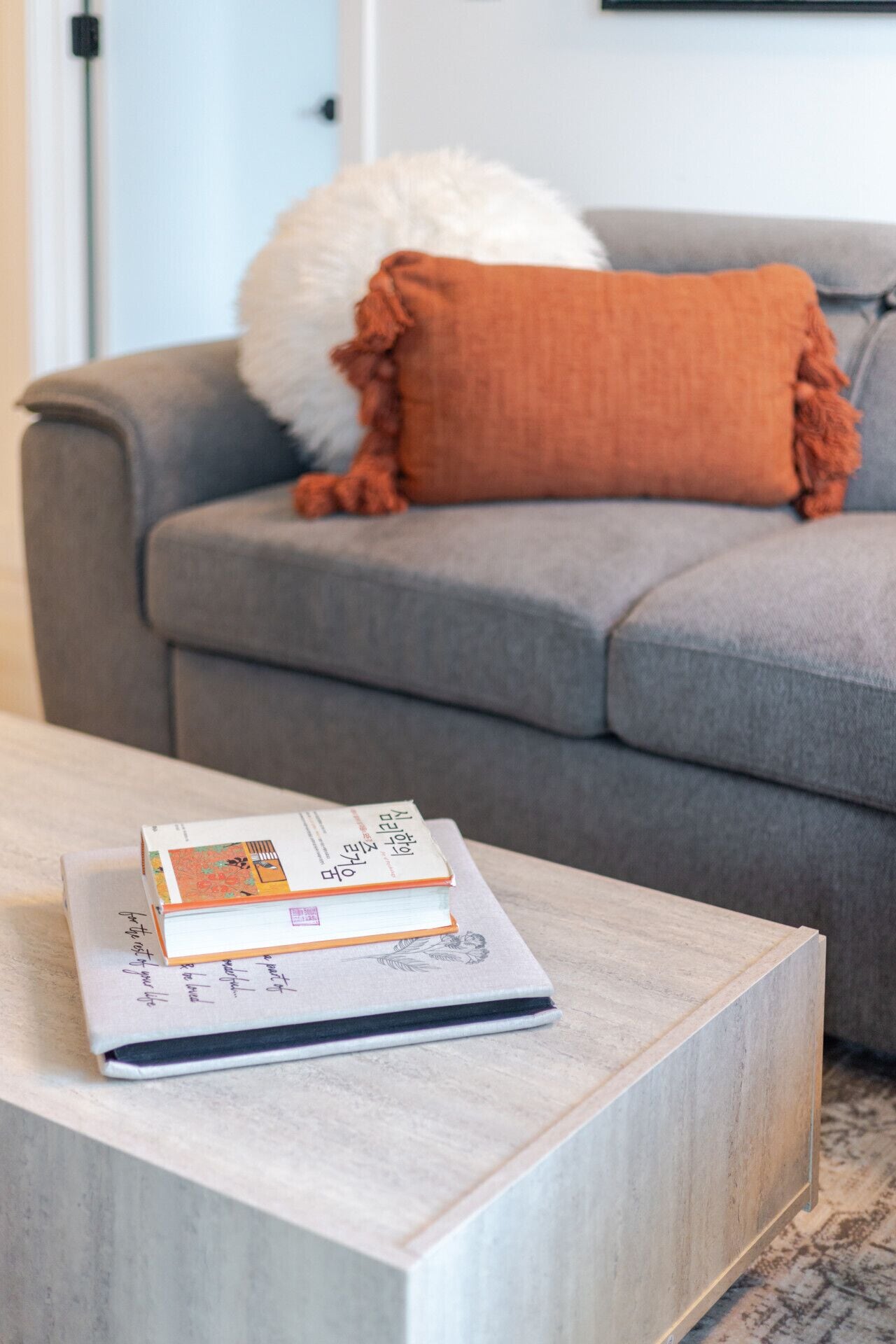 Ein modernes Wohnzimmer mit einem grauen Sofa, einem weißen, flauschigen Kissen und einem Couchtisch aus Holz mit einem Buch.