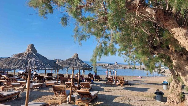 Ein Strand mit Holzliegen und Reetdachschirmen, ein Baum und ein klarer, blauer Himmel.